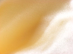 ���[�X�Ԏh�J�@�V���N�X���b�v�@���F�@���n